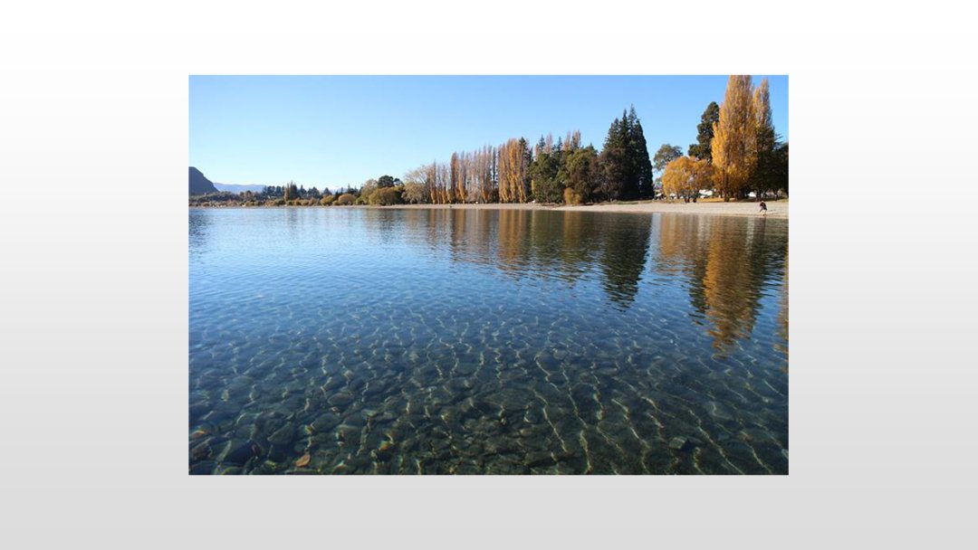 幼儿园中班语言教案：水