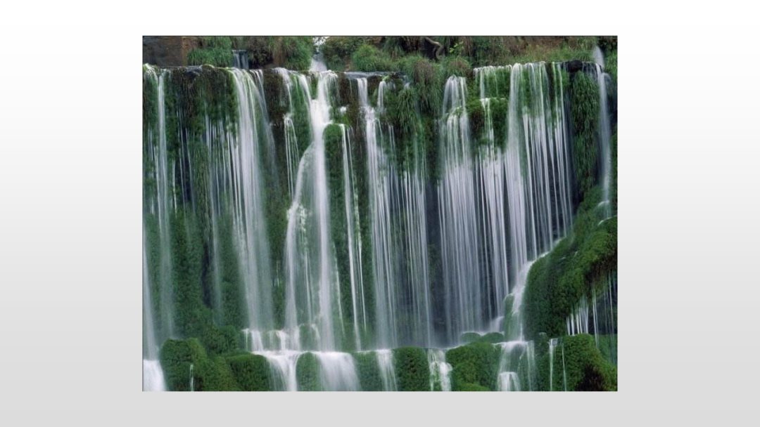 幼儿园中班语言教案：水