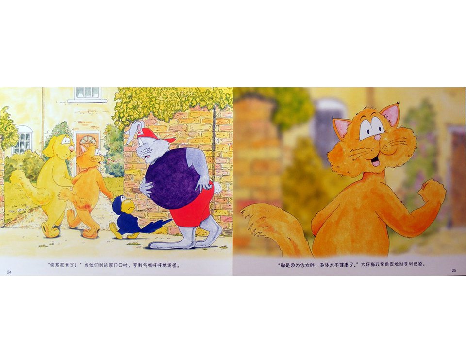 《牛皮兔亨利的危险书4-跷跷板跷不起来了（儿童肥胖的危险）》