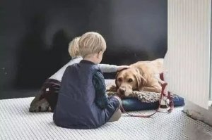 培养孩子的社交能力，绝对不能忽略这6点