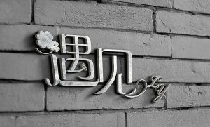 遇见作文800字记叙文（精选4篇）