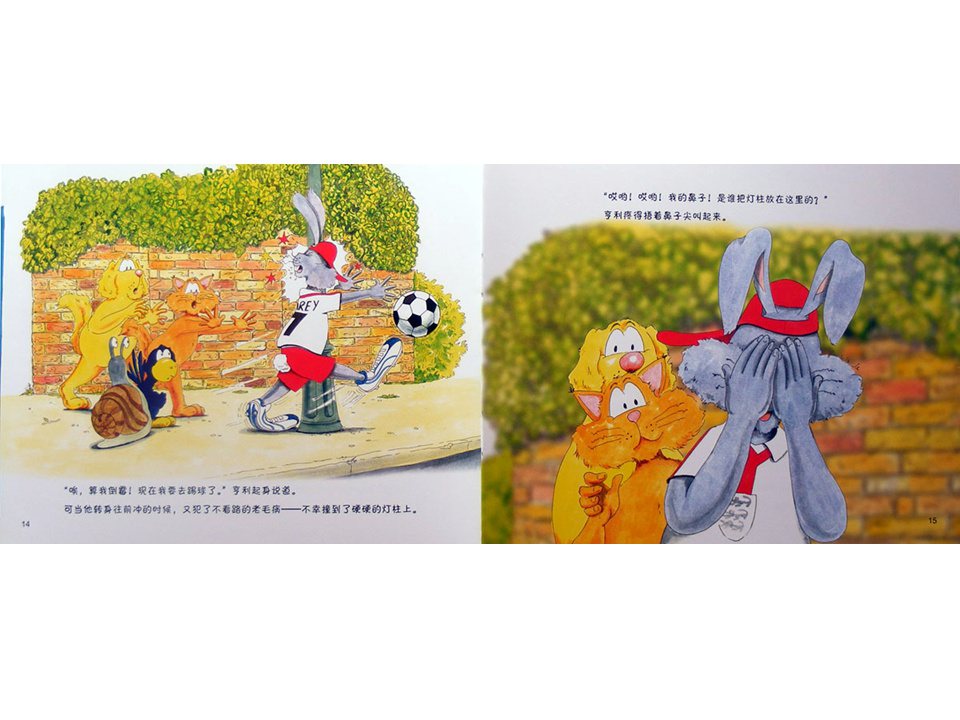 《牛皮兔亨利的危险书5-球王住进了医院（马路上的危险）》