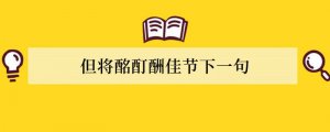 但将酩酊酬佳节下一句
