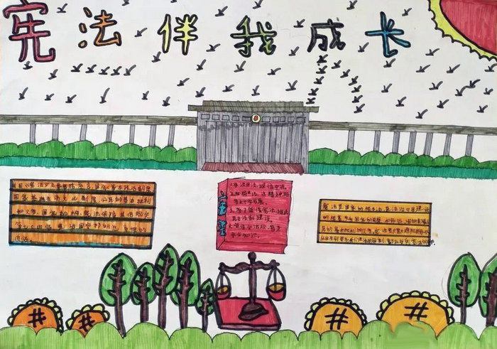 宪法伴我成长手抄报好看漂亮