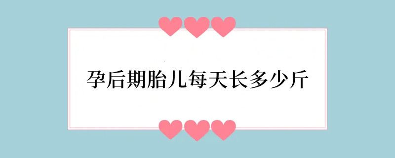 孕后期胎儿每天长多少斤