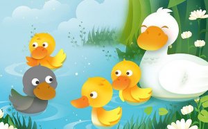 丑小鸭的故事文字版