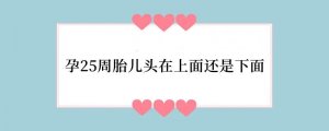 孕25周胎儿头在上面还是下面