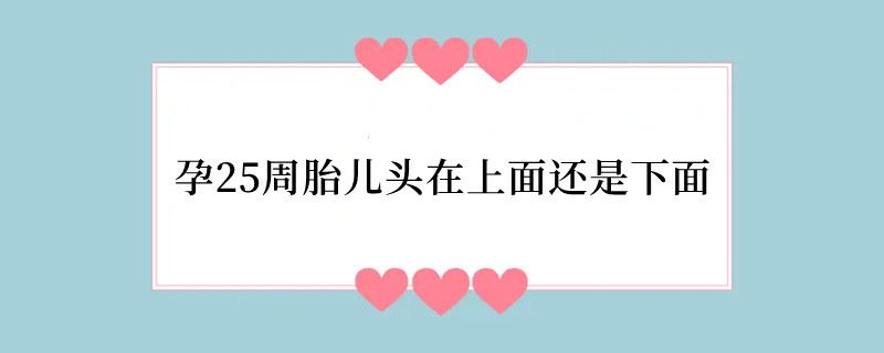孕25周胎儿头在上面还是下面
