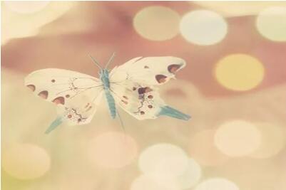 书单 | 这七本书，告诉我们如何淡雅般的生活