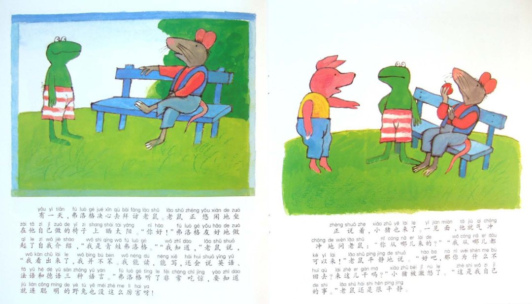 《青蛙弗洛格的成长故事3-弗洛格和陌生人》