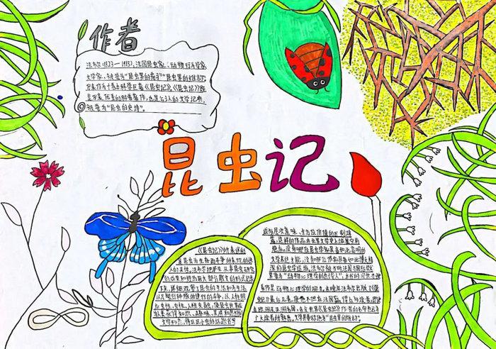 名著阅读昆虫记手抄报图片及内容简单又漂亮
