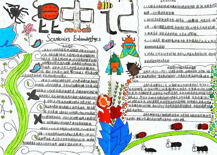 名著阅读昆虫记手抄报图片及内容简单又漂亮