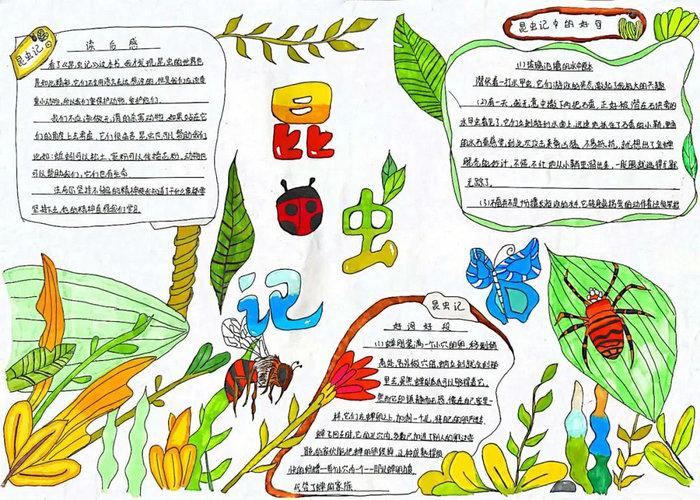 名著阅读昆虫记手抄报图片及内容简单又漂亮