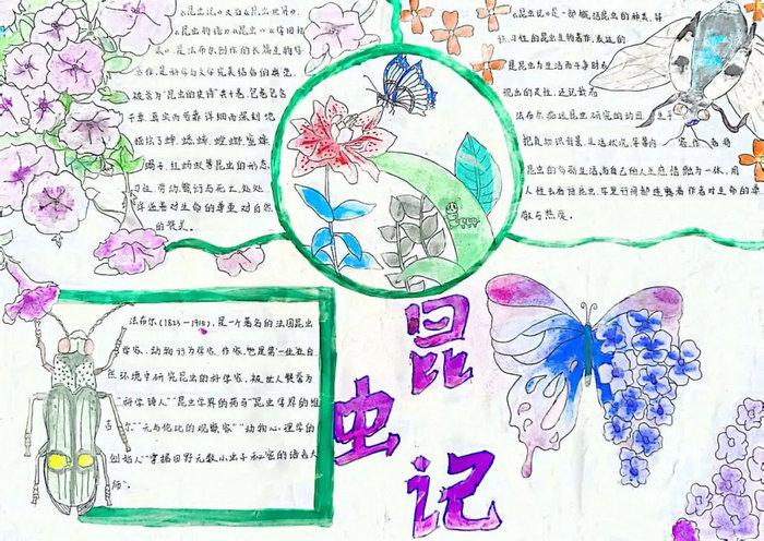 名著阅读昆虫记手抄报图片及内容简单又漂亮