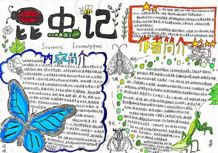 名著阅读昆虫记手抄报图片及内容简单又漂亮