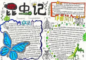 名著阅读昆虫记手抄报图片及内容简单又漂亮（
