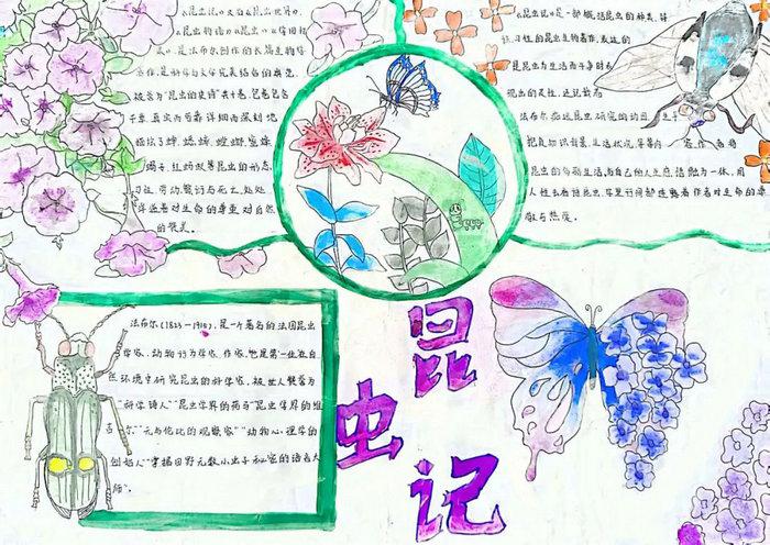 名著阅读昆虫记手抄报图片及内容简单又漂亮