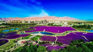 暑假中的快乐作文400字