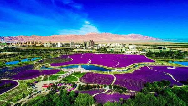 暑假中的快乐作文400字