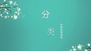 幼儿园中班科学教案：分类（含PPT课件图片）