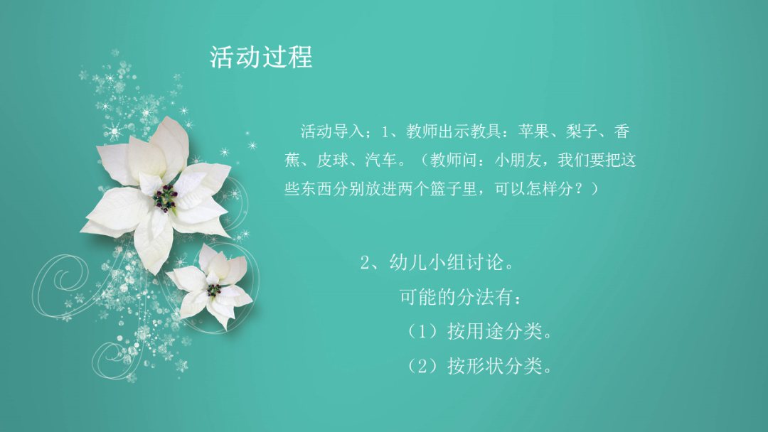 幼儿园中班科学教案：分类