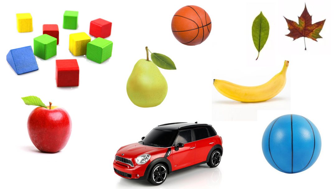 幼儿园中班科学教案：分类