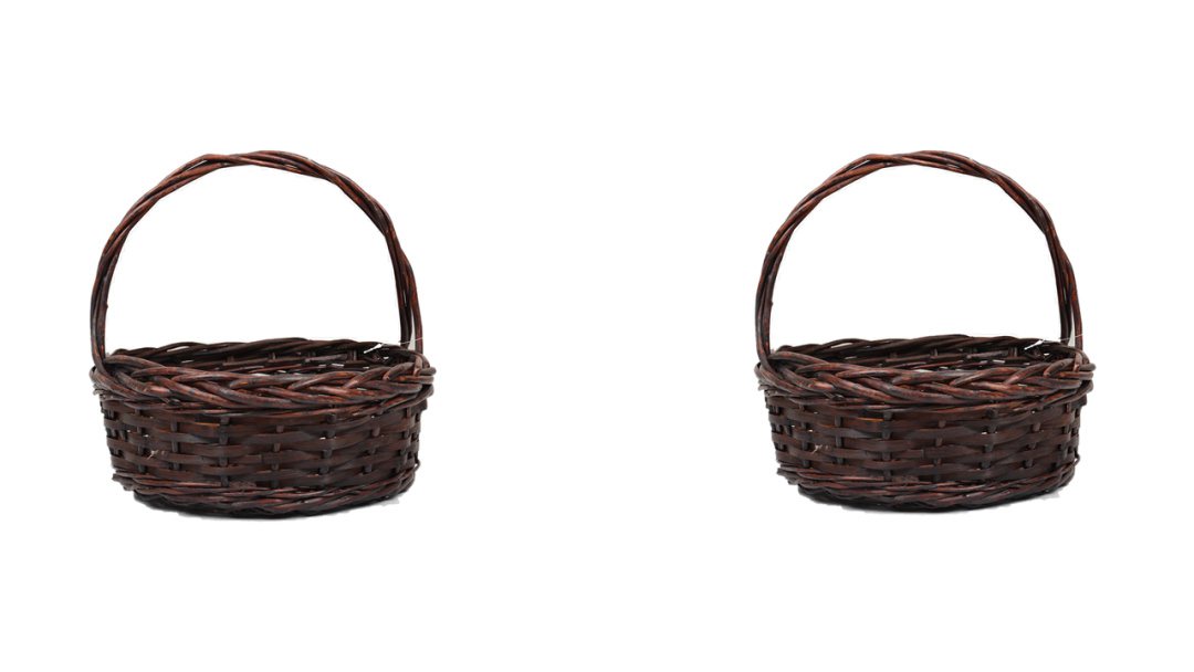 幼儿园中班科学教案：分类