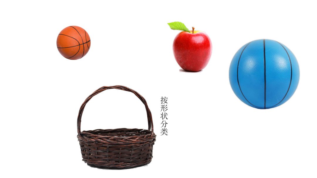 幼儿园中班科学教案：分类