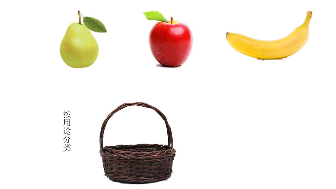 幼儿园中班科学教案：分类