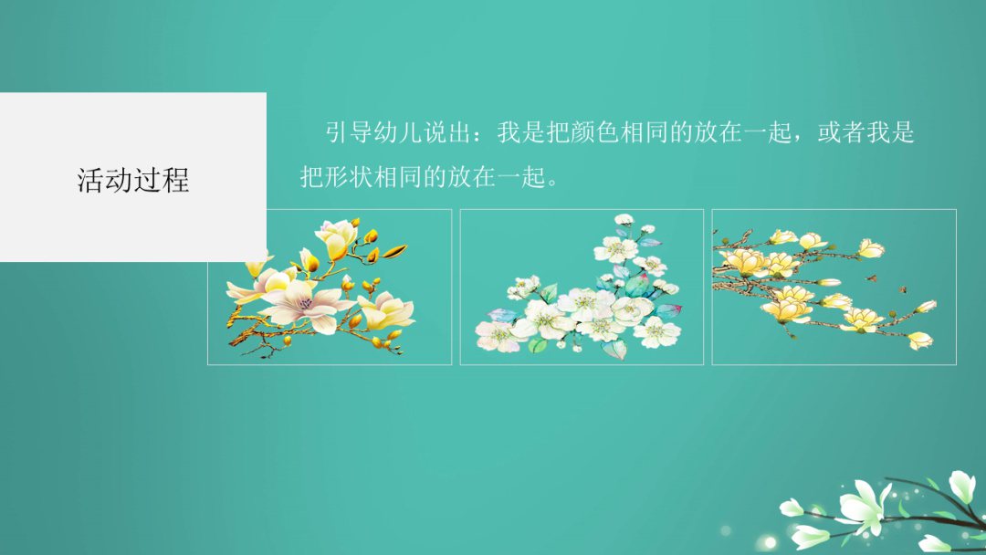 幼儿园中班科学教案：分类