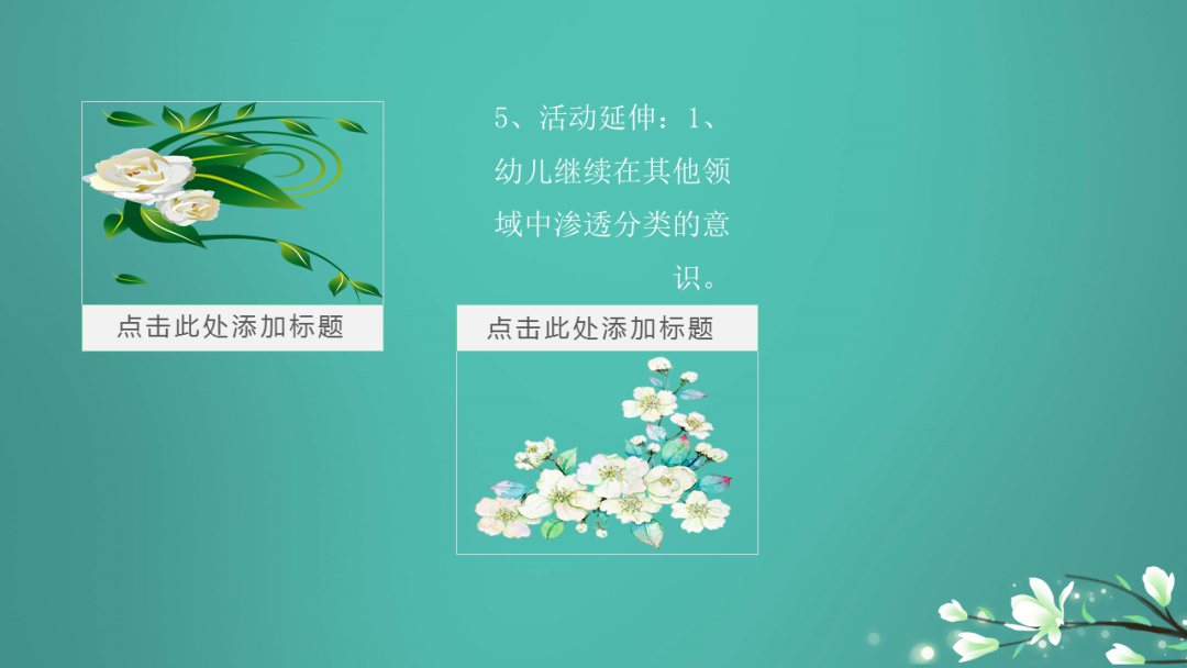 幼儿园中班科学教案：分类