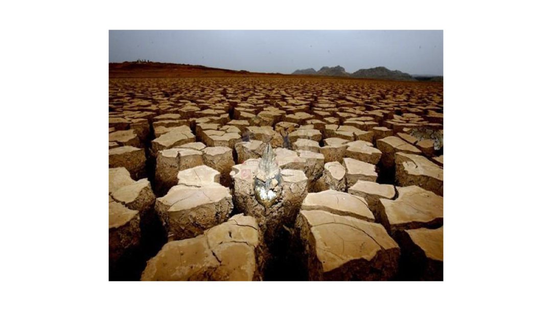 幼儿园中班社会教案：节约用水