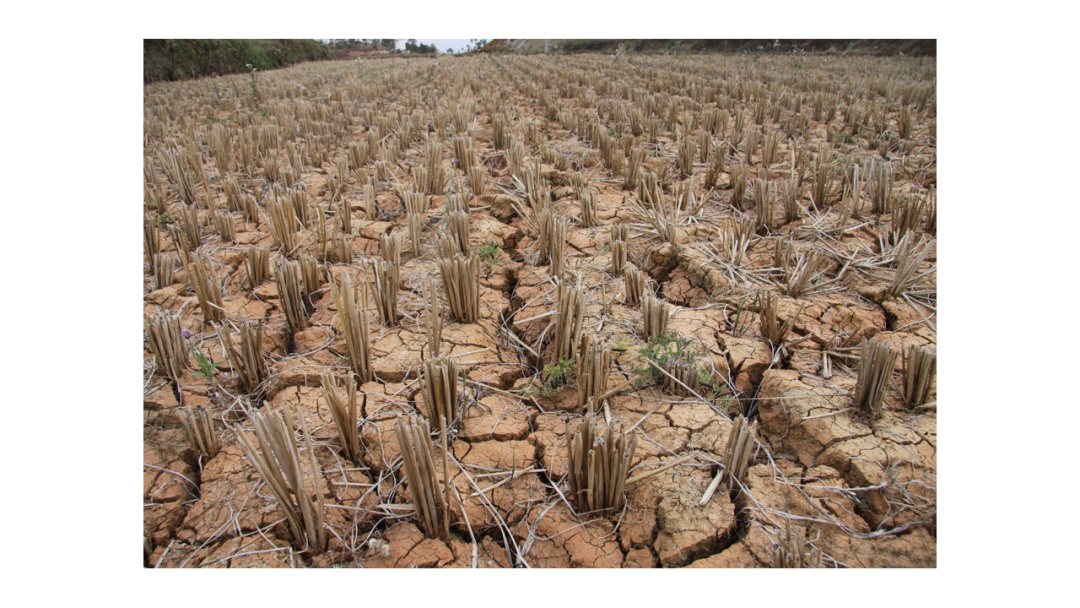 幼儿园中班社会教案：节约用水