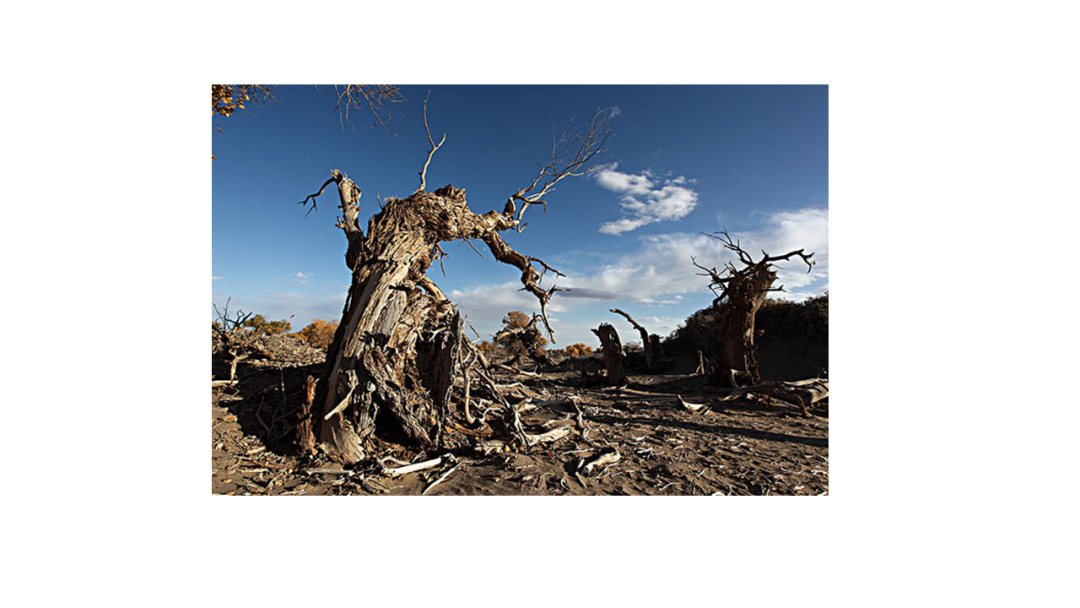 幼儿园中班社会教案：节约用水