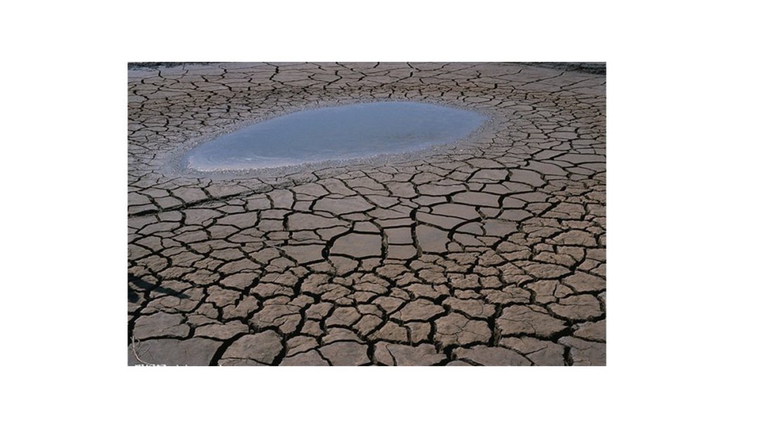 幼儿园中班社会教案：节约用水