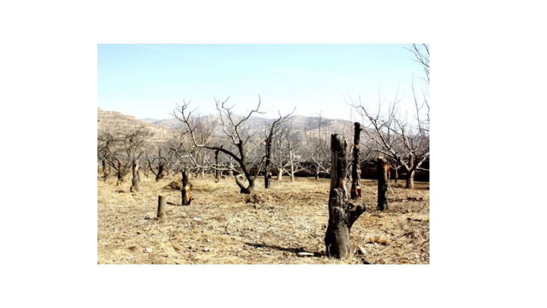 幼儿园中班社会教案：节约用水