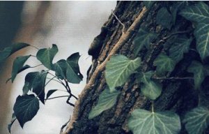 财务自由之路五个阶段书单大全