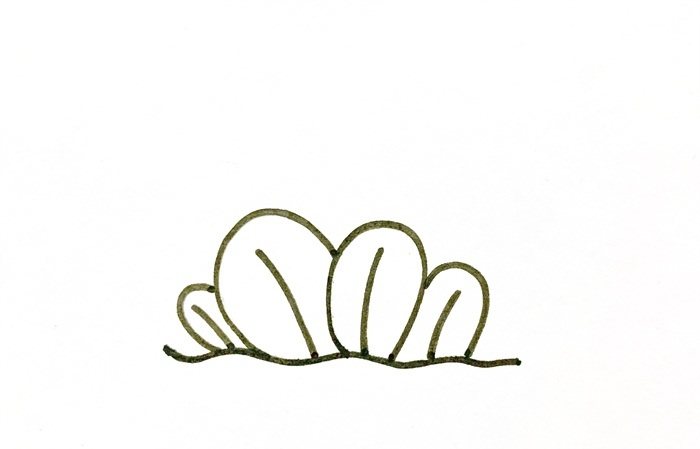 狗尾巴草简笔画怎么画