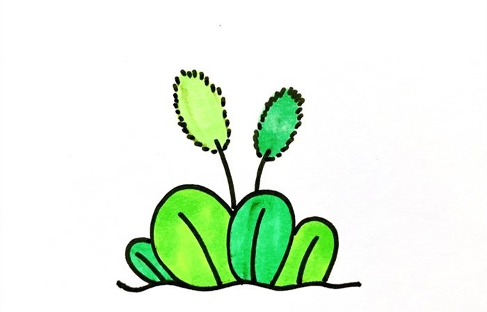 狗尾巴草简笔画怎么画