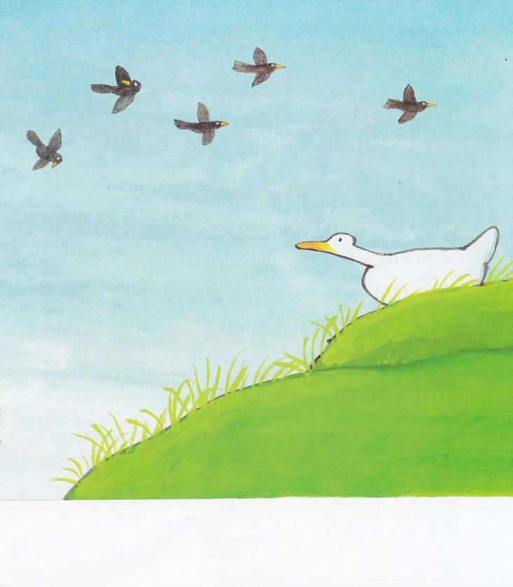 《青蛙弗洛格的成长故事11-我就是喜欢我》