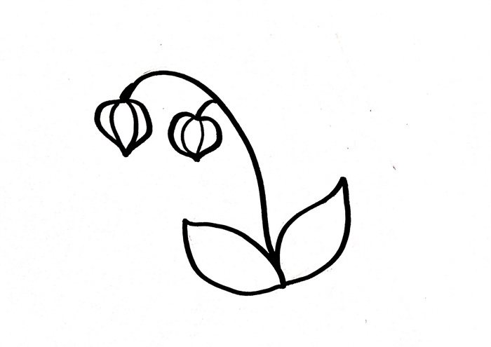 灯笼草简笔画怎么画