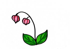 灯笼草简笔画怎么画