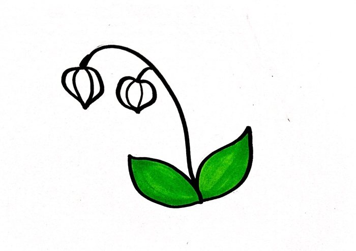 灯笼草简笔画怎么画