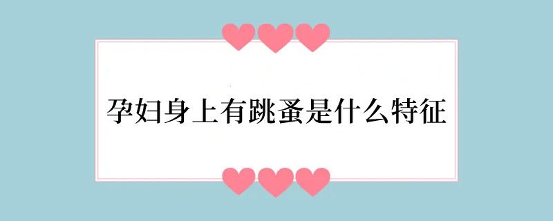 孕妇身上有跳蚤是什么特征