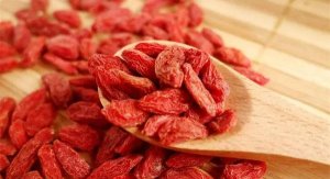 多大小孩可以吃枸杞