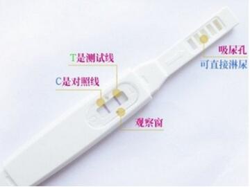 验孕棒怎么看？验孕棒图片解答怎么看