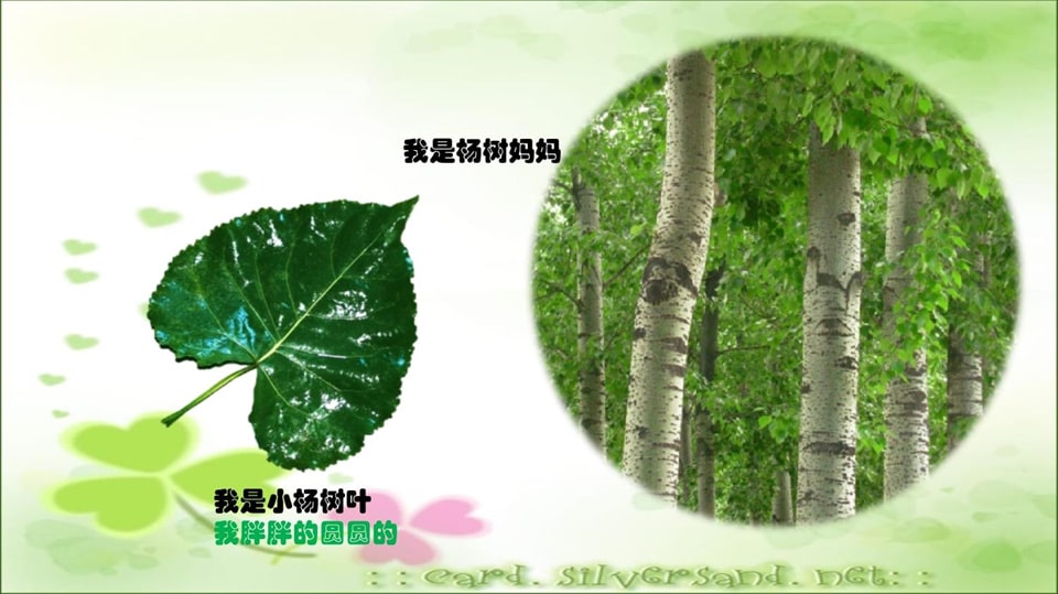 幼儿园小班科学教案《多彩的树叶》PPT课件反思