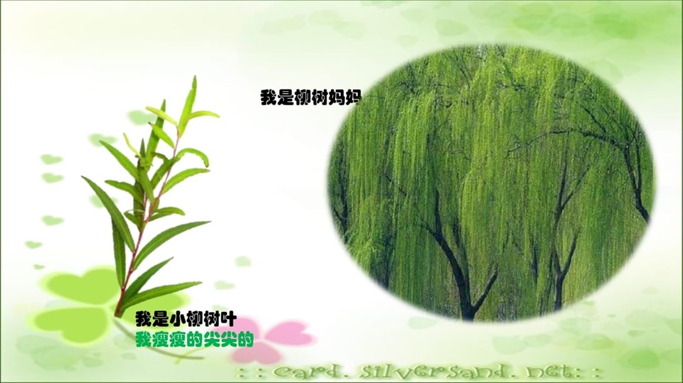 幼儿园小班科学教案《多彩的树叶》PPT课件反思