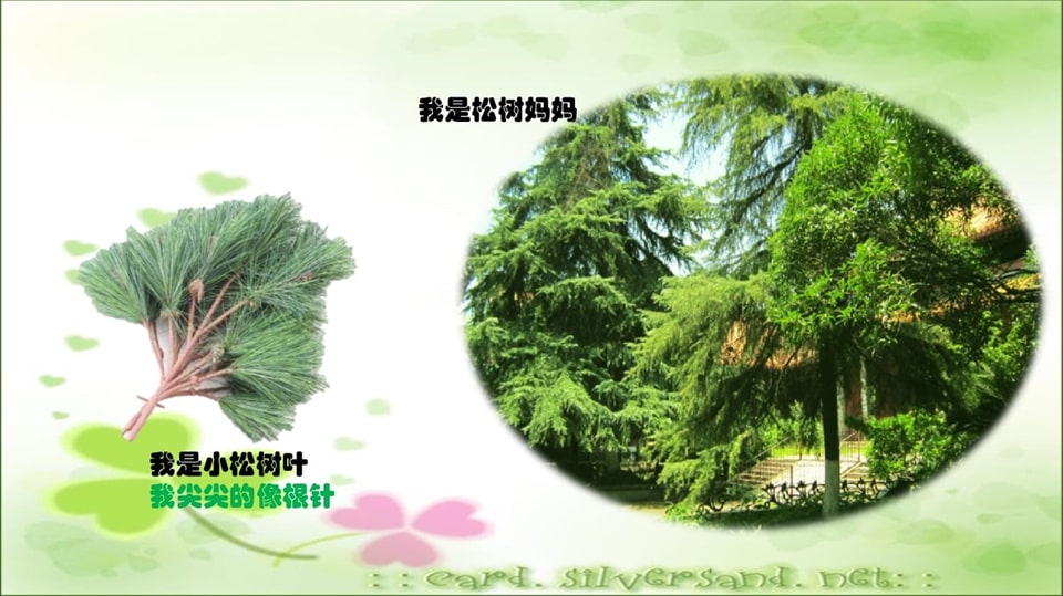 幼儿园小班科学教案《多彩的树叶》PPT课件反思