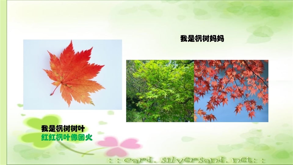 幼儿园小班科学教案《多彩的树叶》PPT课件反思